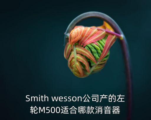 Smith wesson公司產的左輪M500適合哪款消音器