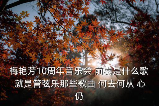 心仍是冷，這么多年了心依舊還是冰冷的該怎么做心才會暖起來呢