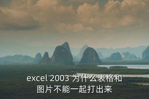 excel 2003 為什么表格和圖片不能一起打出來