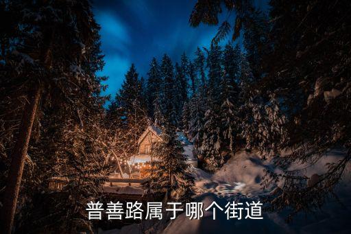 上海市普善路958弄所屬街道，普善路屬于哪個街道