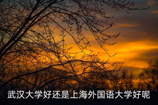 武漢市外與上海市外校哪個好，上海外國語大學和武漢大學