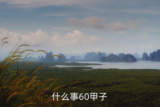 60甲子，六十甲子是什么