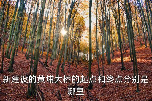 廣州橋的盡頭，虎門大橋往廣州方向下橋的地方靠近南沙出口橋上基本限速80