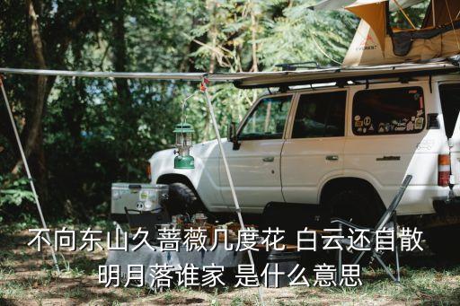 薔薇幾度花，不向東山久薔薇幾度花 白云還自散 明月落誰家 是什么意思