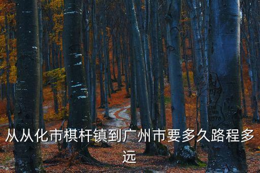 從化棋桿嶺怎么到廣州，在從化市棋桿鎮坐什么車可以到白云區新市鎮呢