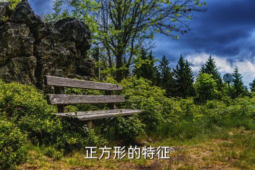 正方形的特征，正方形的特點