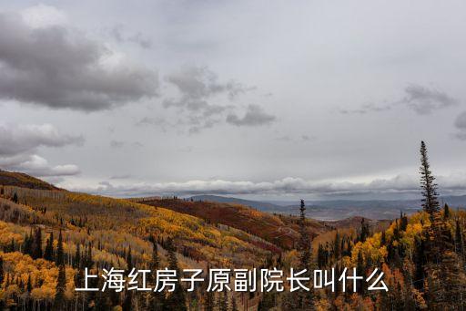 上海紅房子原副院長叫什么