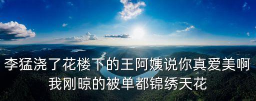 李猛澆了花樓下的王阿姨說你真愛美啊我剛晾的被單都錦繡天花