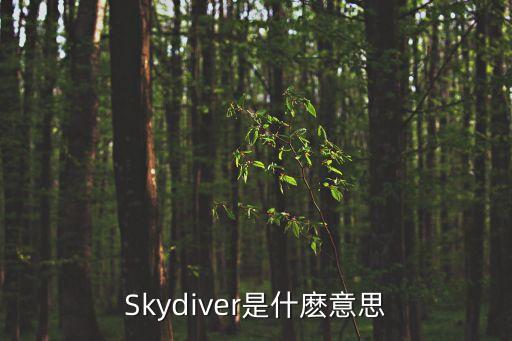 skydiver，Sky Diver 是什么意思