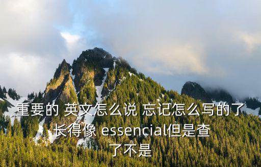 重要用英語(yǔ)怎么說(shuō)，重要的 英文怎么說(shuō) 忘記怎么寫(xiě)的了 長(zhǎng)得像 essencial但是查了不是