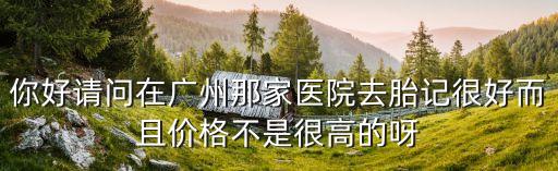 你好請問在廣州那家醫院去胎記很好而且價格不是很高的呀