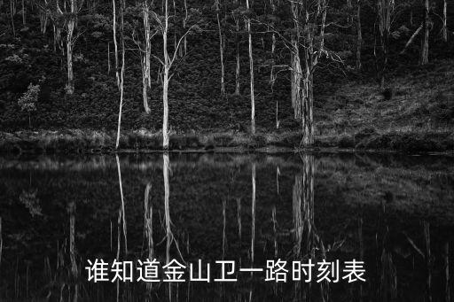 誰知道金山衛一路時刻表