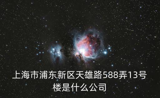 上海市浦東新區(qū)天雄路588弄13號樓是什么公司