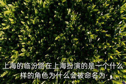 上海市臨汾路街道經驗，上海市閘北區汾西路88弄什么居委會