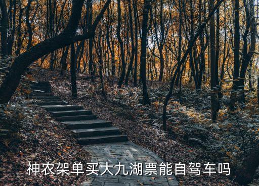 神農架單買大九湖票能自駕車嗎