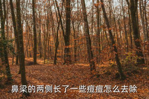 鼻梁長痘，鼻梁上長痘痘怎么辦