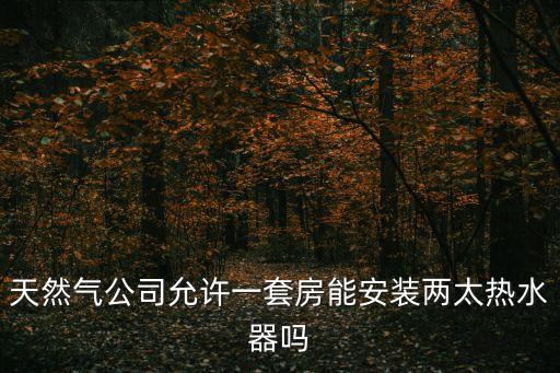 廣州燃氣集團增容燃氣熱水器條件，天然氣公司允許一套房能安裝兩太熱水器嗎