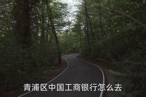 工行上海市分行營業部在哪個區，請問工商銀行地區號1001網點號0865是在哪里啊