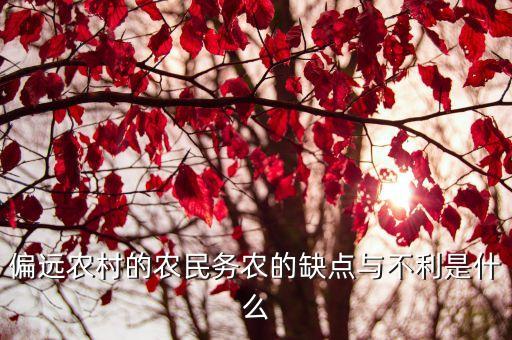 偏遠(yuǎn)農(nóng)村的農(nóng)民務(wù)農(nóng)的缺點(diǎn)與不利是什么