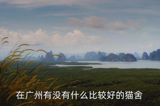 廣州小貓舍，廣州哪里有正規的布偶貓舍