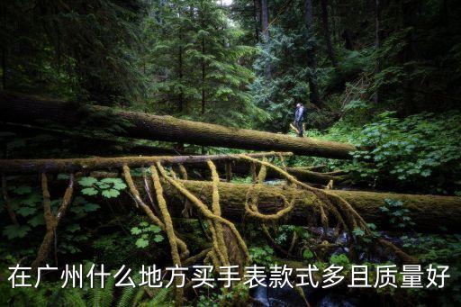 在廣州什么地方買手表款式多且質量好