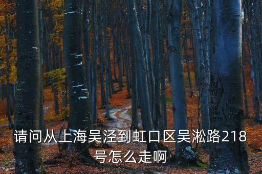 上海市淞北路218號，上海吳淞路218號做什么地鐵能到