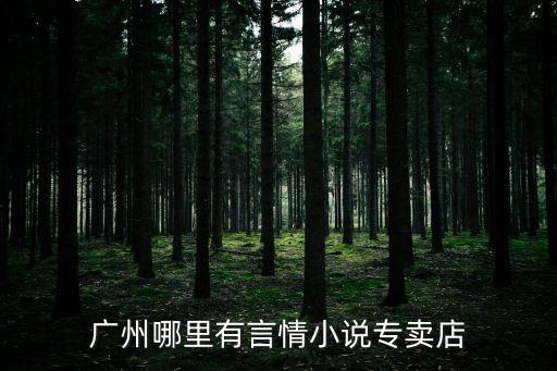 廣州哪里有言情小說專賣店