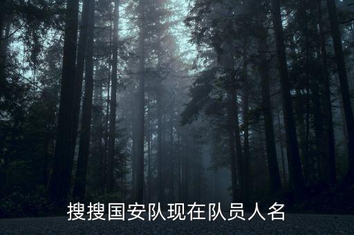 搜搜國安隊現(xiàn)在隊員人名