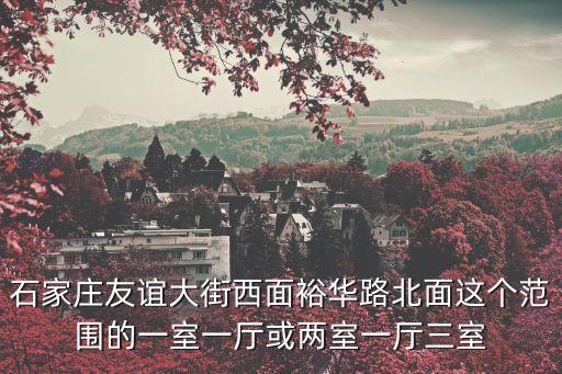 廣州銀山大廈自建房，請大家幫我看看這個房子的格局以及面積舒適性和實用性 注房子