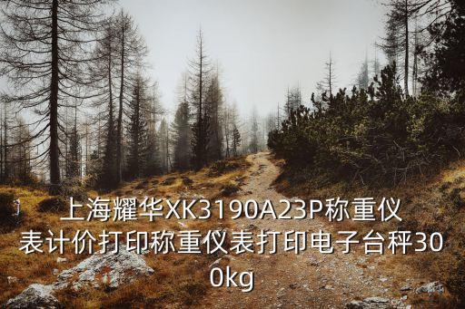 上海市耀華衡器，上海耀華XK3190A23P稱重儀表計價打印稱重儀表打印電子臺秤300kg