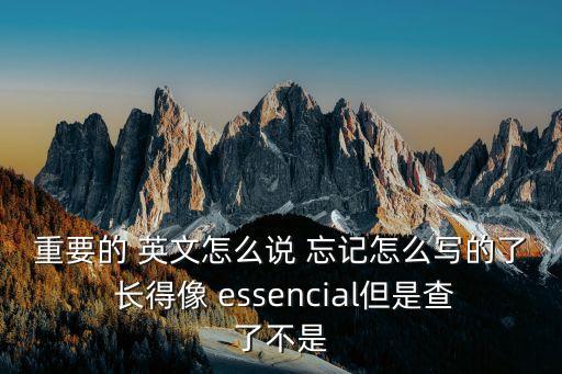 重要的 英文怎么說 忘記怎么寫的了 長得像 essencial但是查了不是