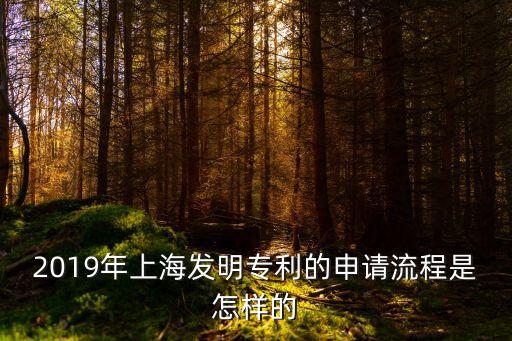 上海市科委項目申請步驟，上海市申請科技專利需要準備些什么材料去哪里辦理啊