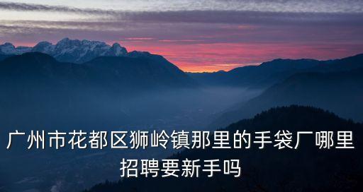 廣州市花都區(qū)獅嶺鎮(zhèn)那里的手袋廠哪里招聘要新手嗎