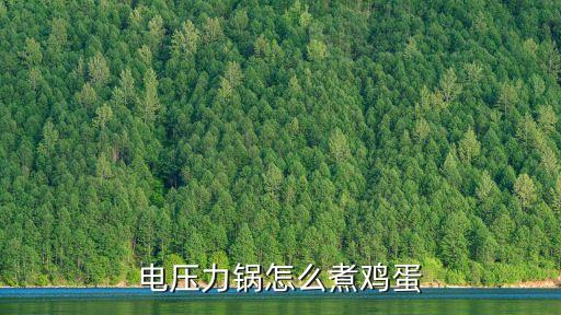 壓力鍋怎么用，電壓力鍋怎么煮雞蛋