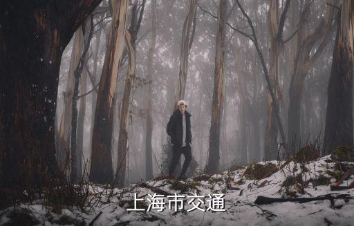 上海市交通
