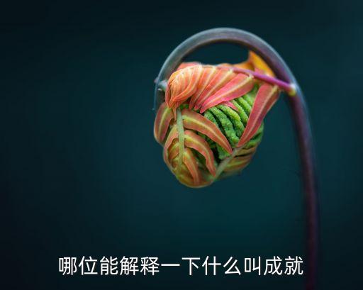 哪位能解釋一下什么叫成就