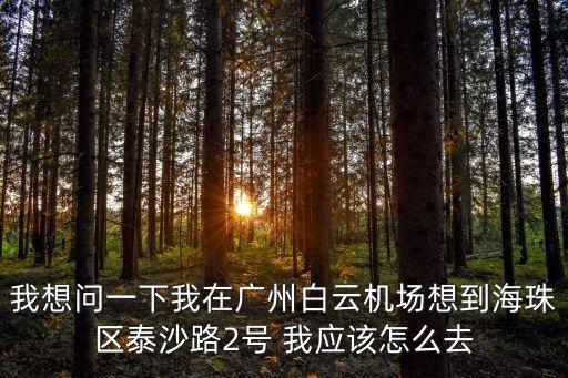 我想問一下我在廣州白云機場想到海珠區泰沙路2號 我應該怎么去