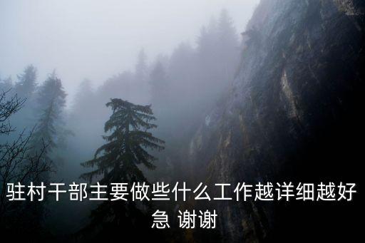 駐村工作隊職責，駐村干部主要做些什么工作越詳細越好 急 謝謝