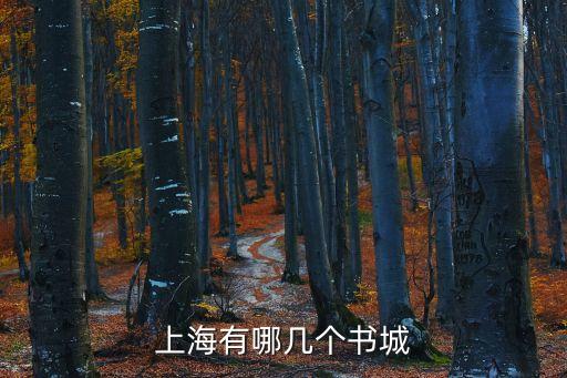 上海市書店 總體情況，上海書城的介紹