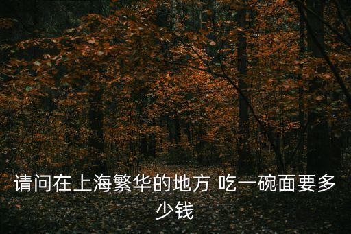 請問在上海繁華的地方 吃一碗面要多少錢