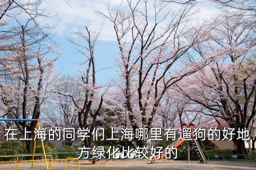 在上海的同學(xué)們上海哪里有遛狗的好地方綠化比較好的