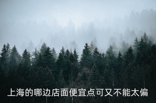 上海市 便宜商鋪，上海的哪邊店面便宜點可又不能太偏