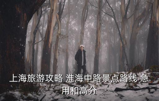 上海旅游攻略 淮海中路景點路線 急用和高分