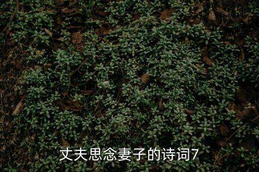 思念妻子的詩句，丈夫思念妻子的詩詞7
