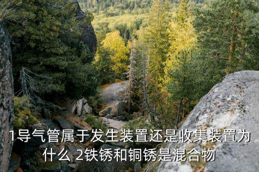 導氣管，導管和導氣管有什么不同