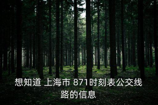 想知道 上海市 871時刻表公交線路的信息