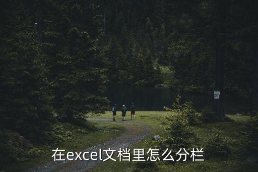 在excel文檔里怎么分欄