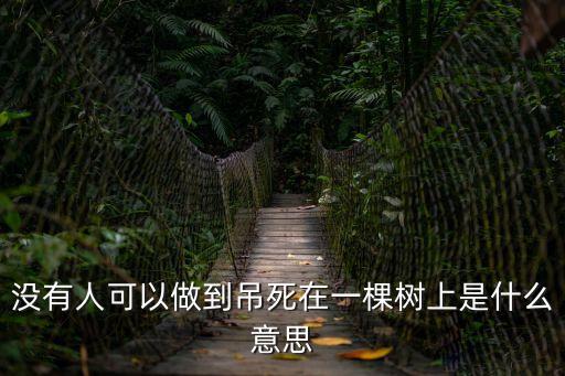 沒有人可以做到吊死在一棵樹上是什么意思