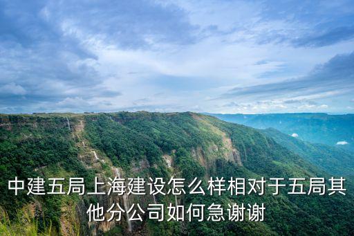中建五局上海建設怎么樣相對于五局其他分公司如何急謝謝