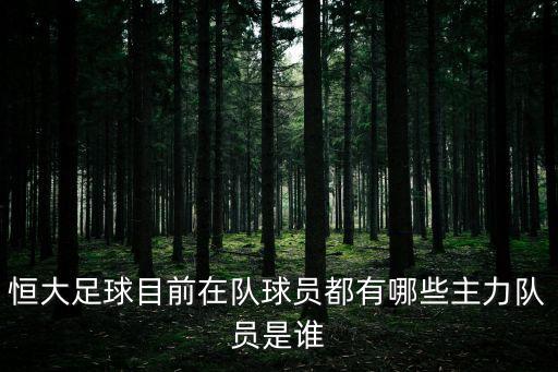 恒大足球目前在隊球員都有哪些主力隊員是誰